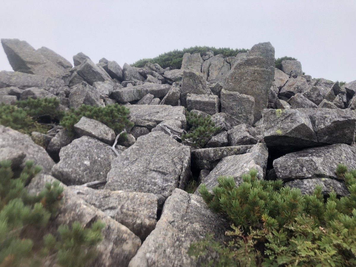 f:id:toyama-rouzan:20190916122144j:plain f:id:toyama-rouzan:20190916122144j:plain