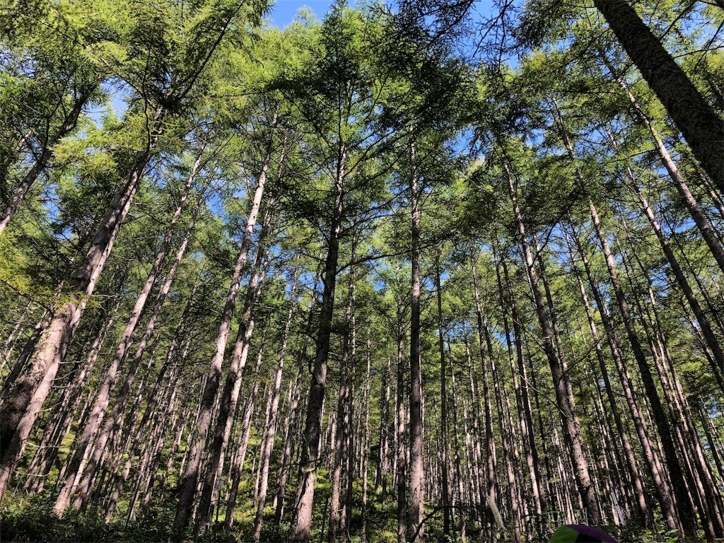 f:id:toyama-rouzan:20190925225753j:image f:id:toyama-rouzan:20190925225753j:image