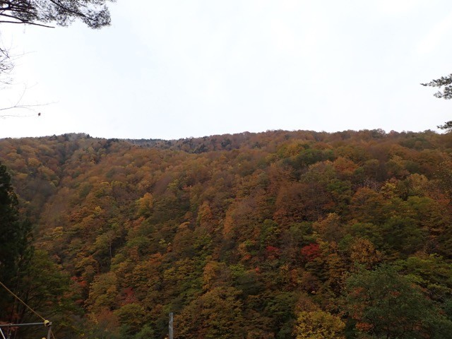 f:id:toyama-rouzan:20191027225142j:plain f:id:toyama-rouzan:20191027225142j:plain