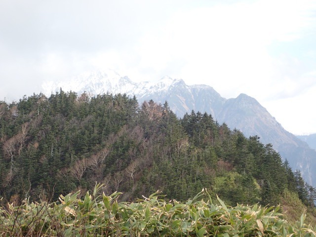 f:id:toyama-rouzan:20191027225220j:plain f:id:toyama-rouzan:20191027225220j:plain
