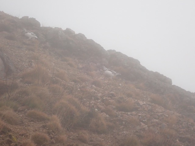 f:id:toyama-rouzan:20191027225258j:plain f:id:toyama-rouzan:20191027225258j:plain