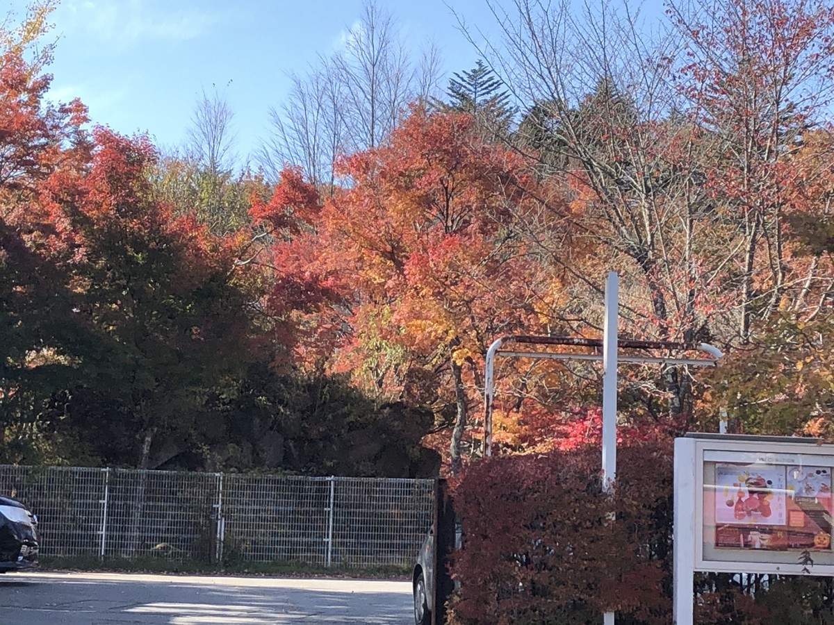 f:id:toyama-rouzan:20191109123104j:plain f:id:toyama-rouzan:20191109123104j:plain