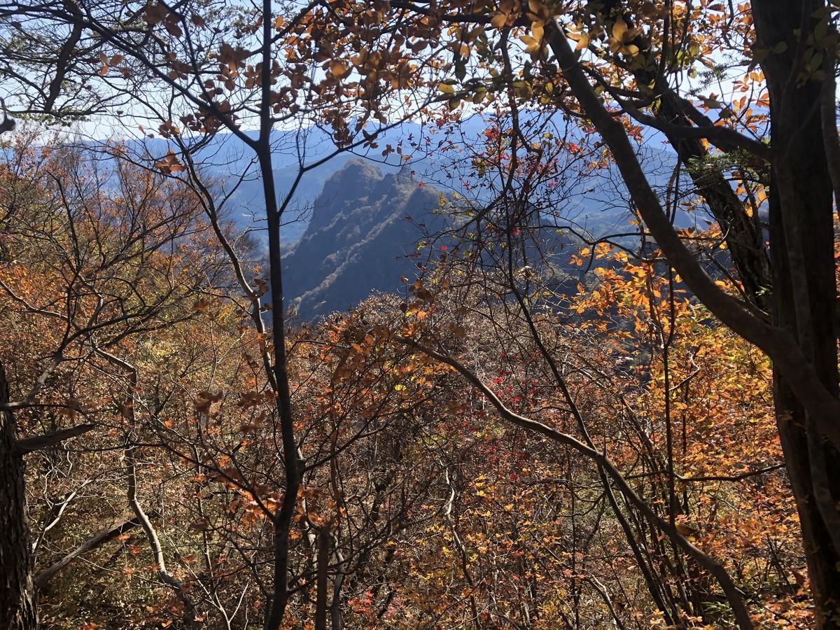 f:id:toyama-rouzan:20191110101202j:plain f:id:toyama-rouzan:20191110101202j:plain