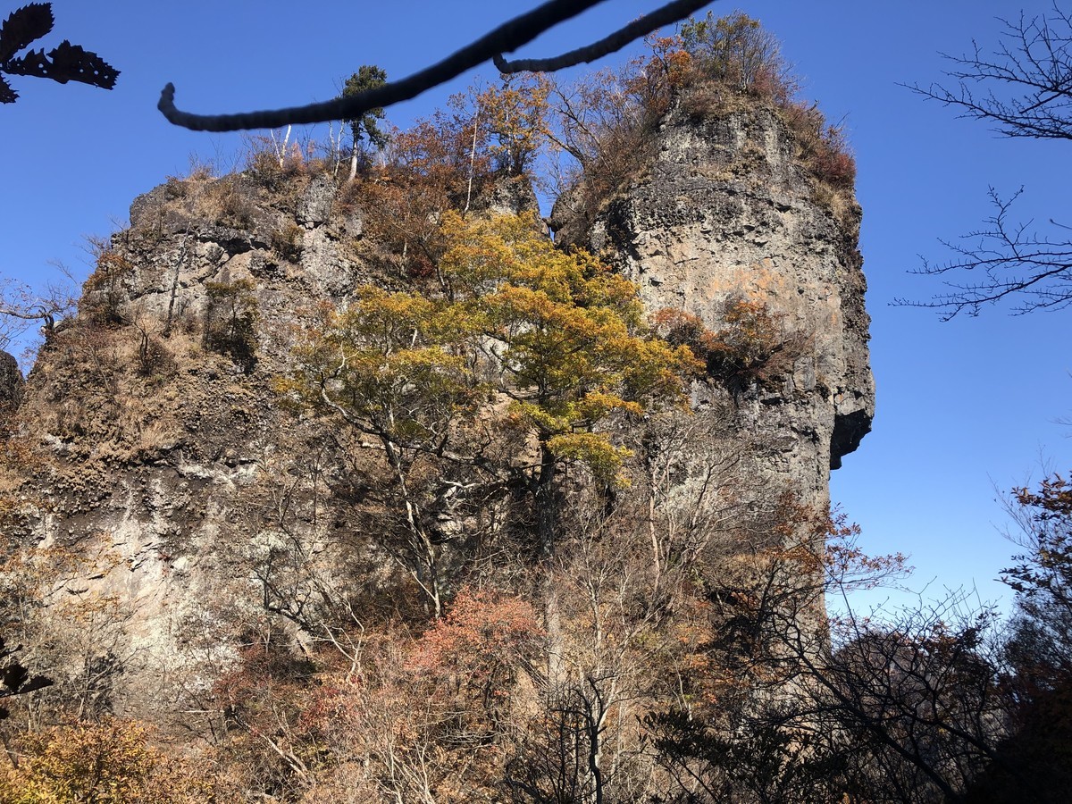 f:id:toyama-rouzan:20191110112148j:plain f:id:toyama-rouzan:20191110112148j:plain