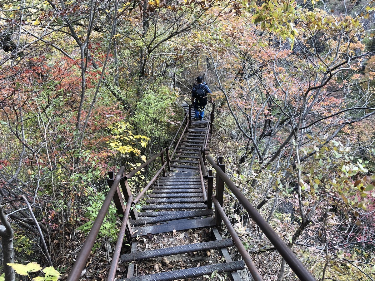 f:id:toyama-rouzan:20191110135637j:plain f:id:toyama-rouzan:20191110135637j:plain