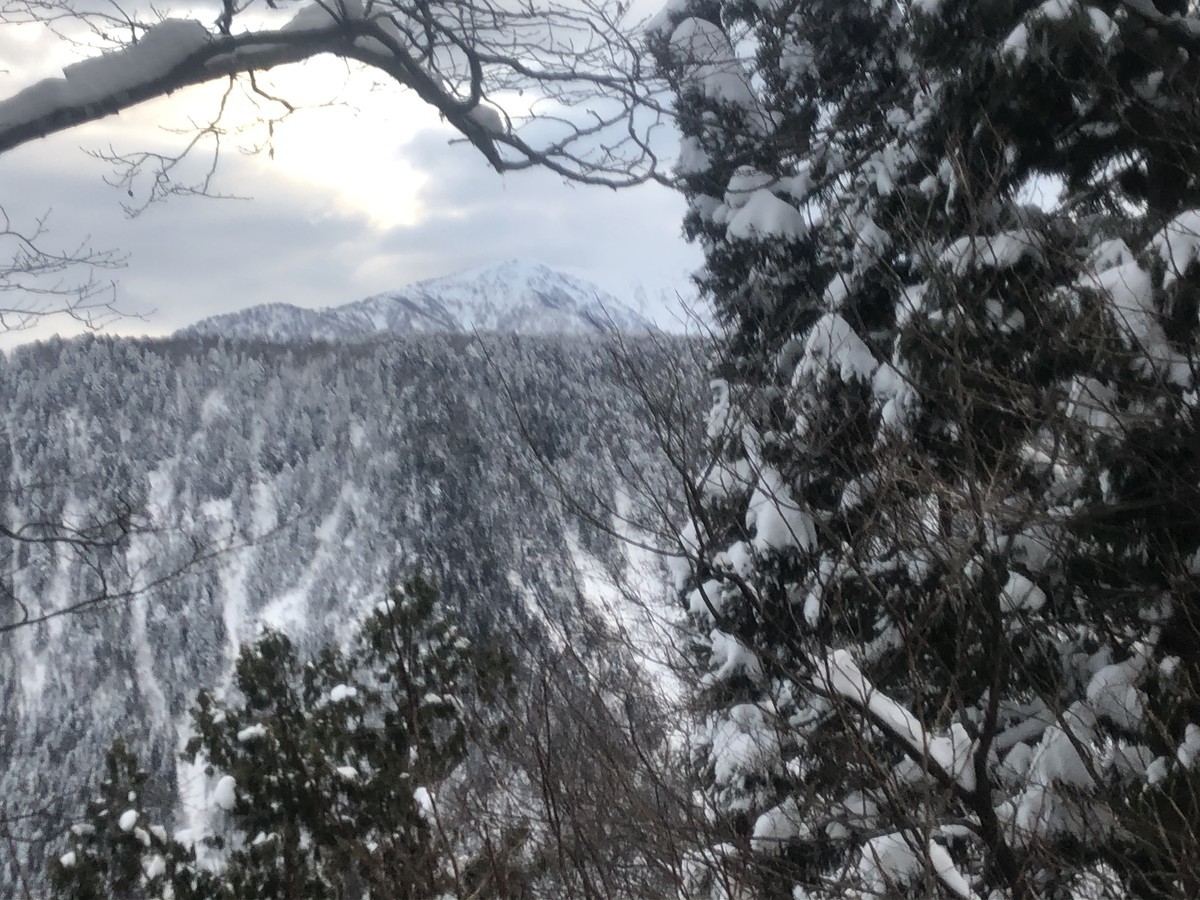 f:id:toyama-rouzan:20200304104448j:plain f:id:toyama-rouzan:20200304104448j:plain