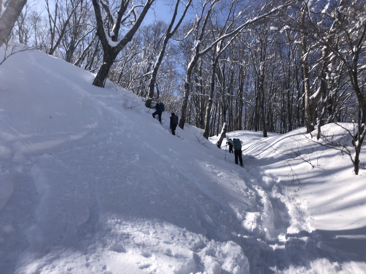 f:id:toyama-rouzan:20200304105129j:plain f:id:toyama-rouzan:20200304105129j:plain