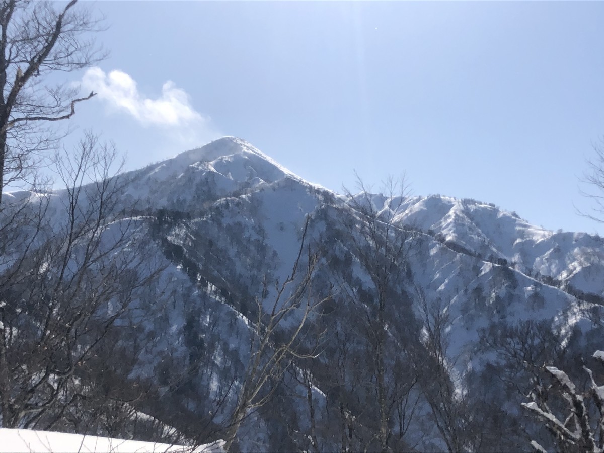 f:id:toyama-rouzan:20200304105247j:plain f:id:toyama-rouzan:20200304105247j:plain