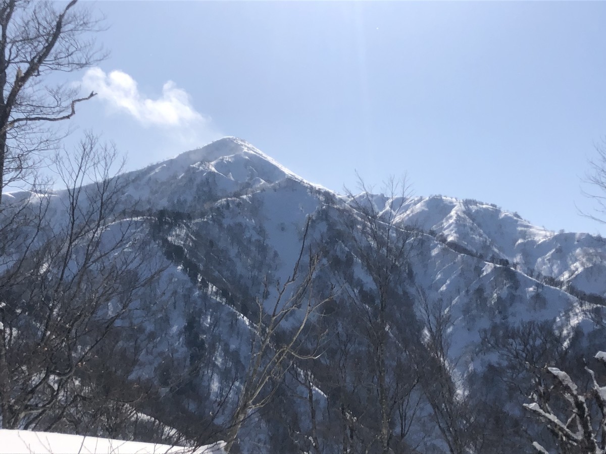 f:id:toyama-rouzan:20200304105247j:plain