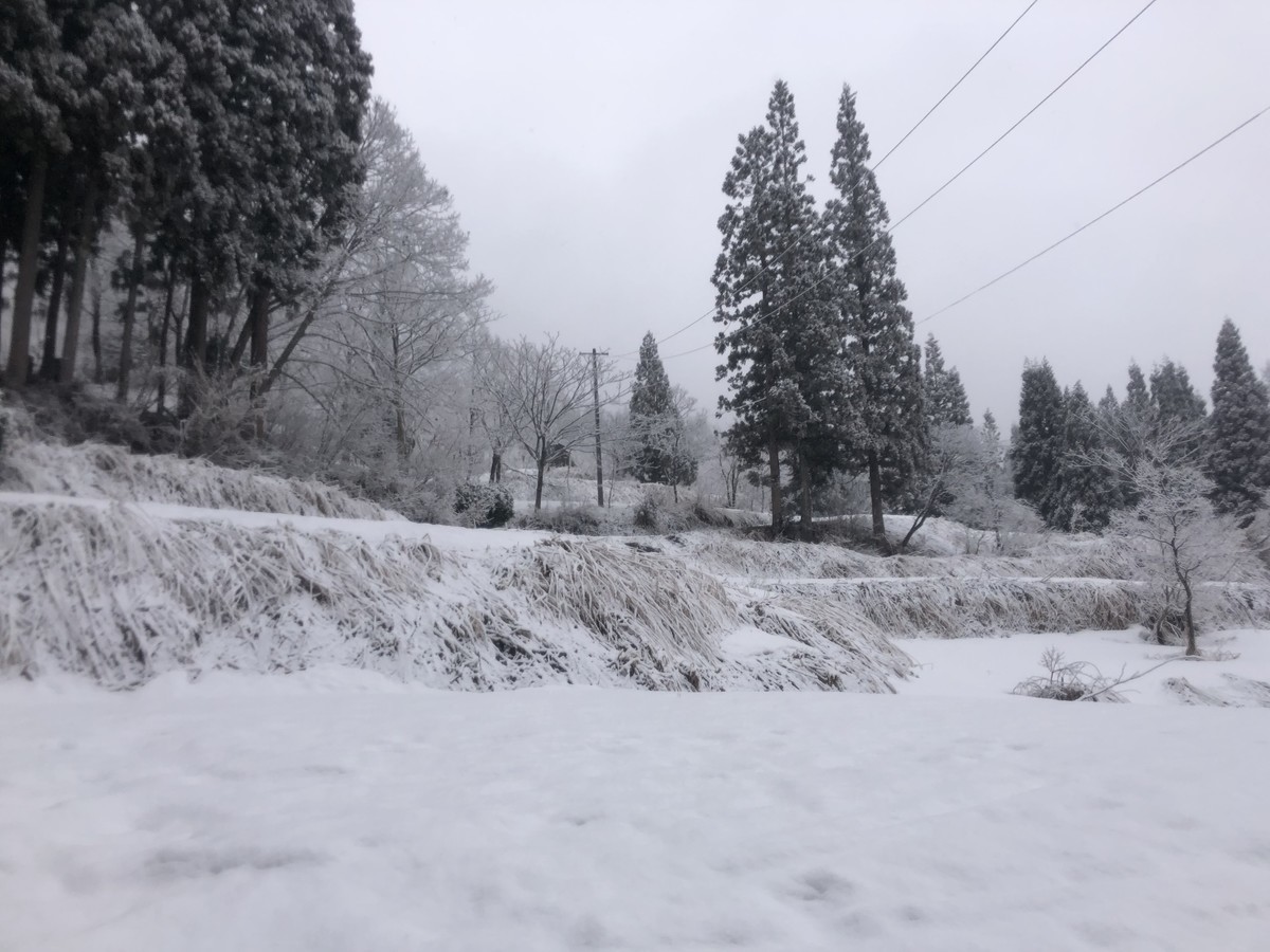 f:id:toyama-rouzan:20200316044913j:plain f:id:toyama-rouzan:20200316044913j:plain