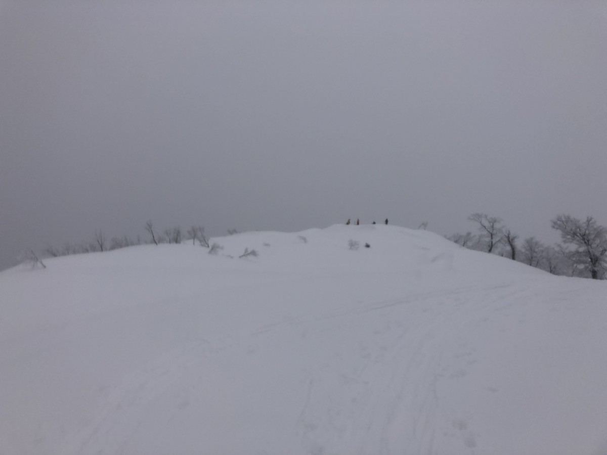 f:id:toyama-rouzan:20200316053950j:plain f:id:toyama-rouzan:20200316053950j:plain