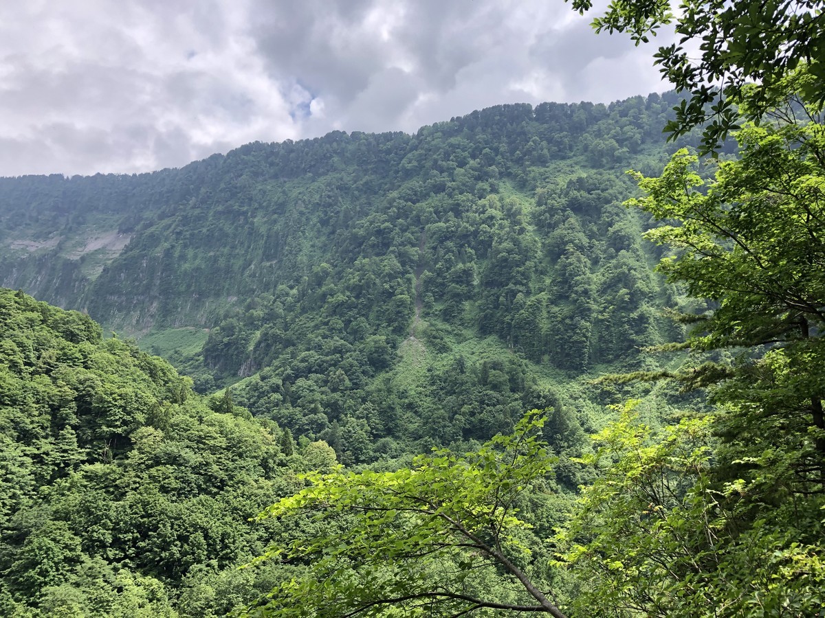 f:id:toyama-rouzan:20200621133722j:plain f:id:toyama-rouzan:20200621133722j:plain