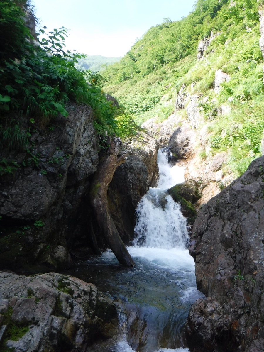 f:id:toyama-rouzan:20200802084745j:plain