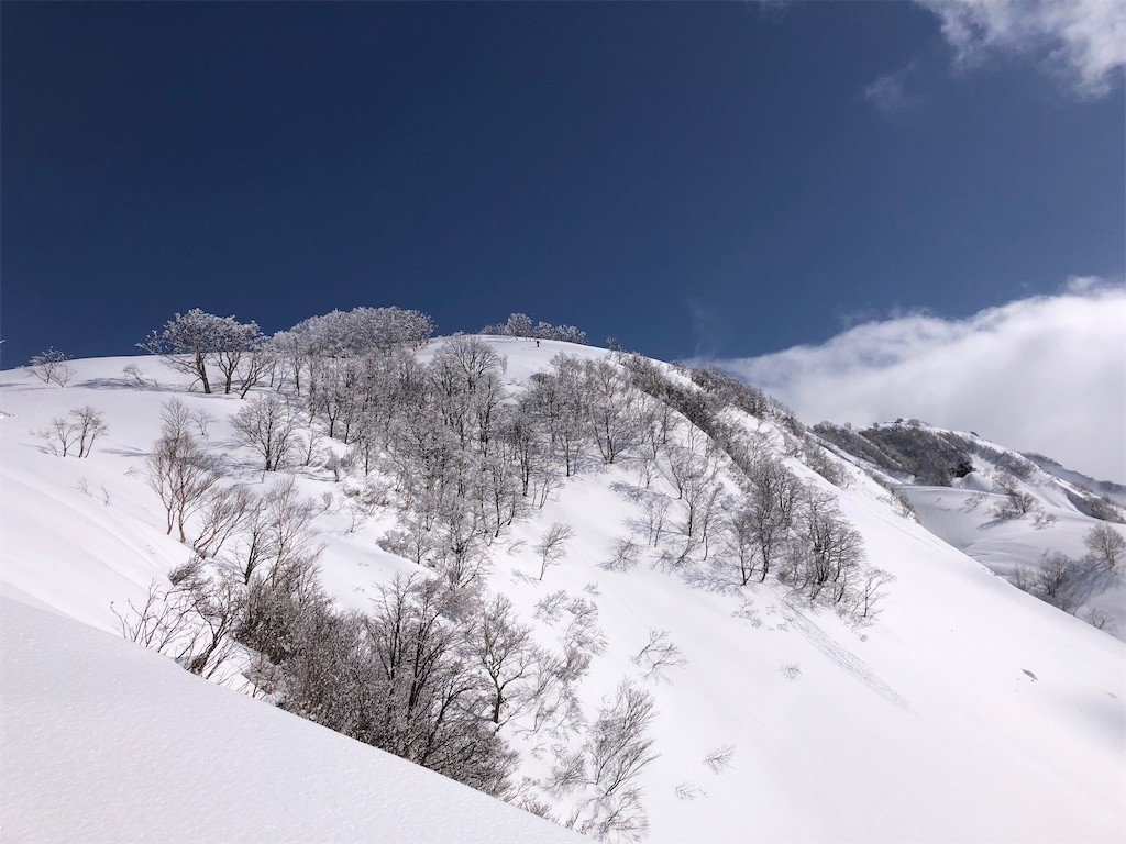 f:id:toyama-rouzan:20210302062749j:image f:id:toyama-rouzan:20210302062749j:image