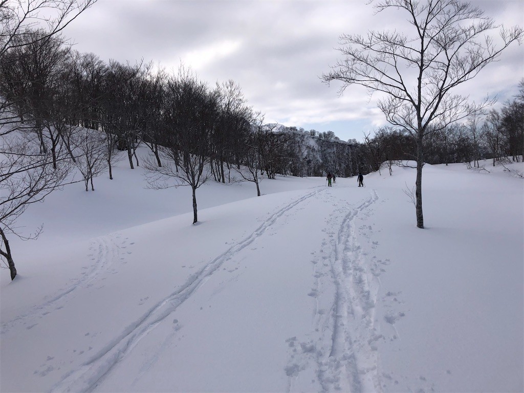 f:id:toyama-rouzan:20210302065636j:image f:id:toyama-rouzan:20210302065636j:image