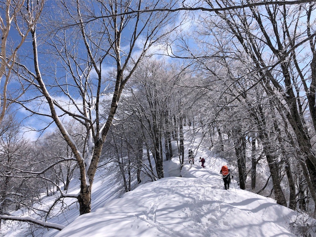 f:id:toyama-rouzan:20210317030801j:image