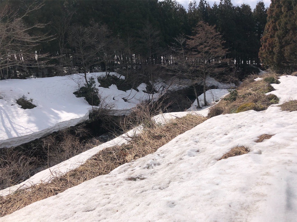 f:id:toyama-rouzan:20210317050353j:image