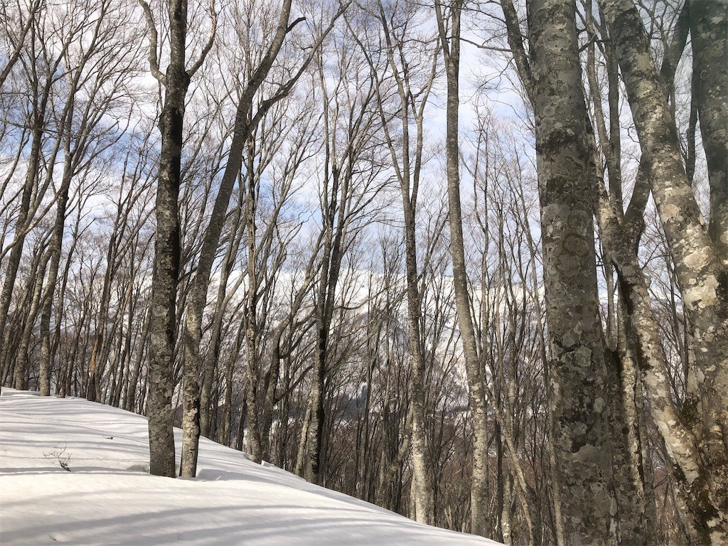 f:id:toyama-rouzan:20210320215309j:image f:id:toyama-rouzan:20210320215309j:image