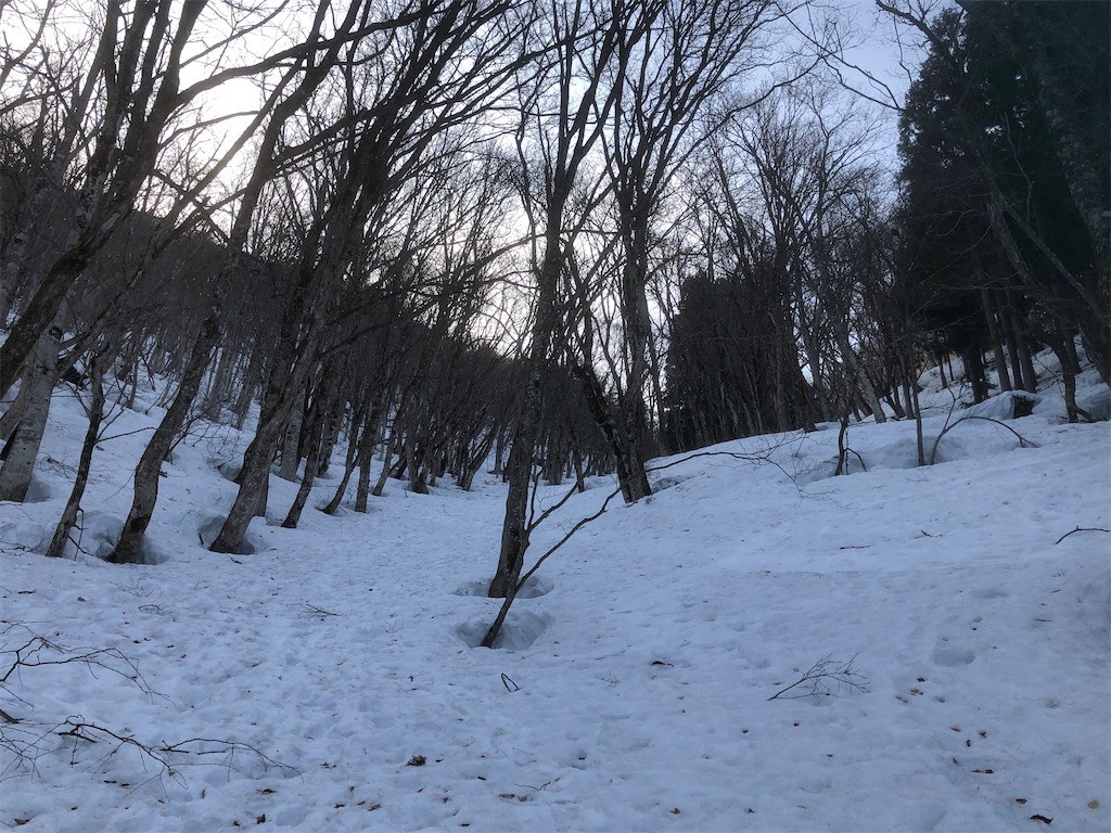 f:id:toyama-rouzan:20210320215318j:image f:id:toyama-rouzan:20210320215318j:image