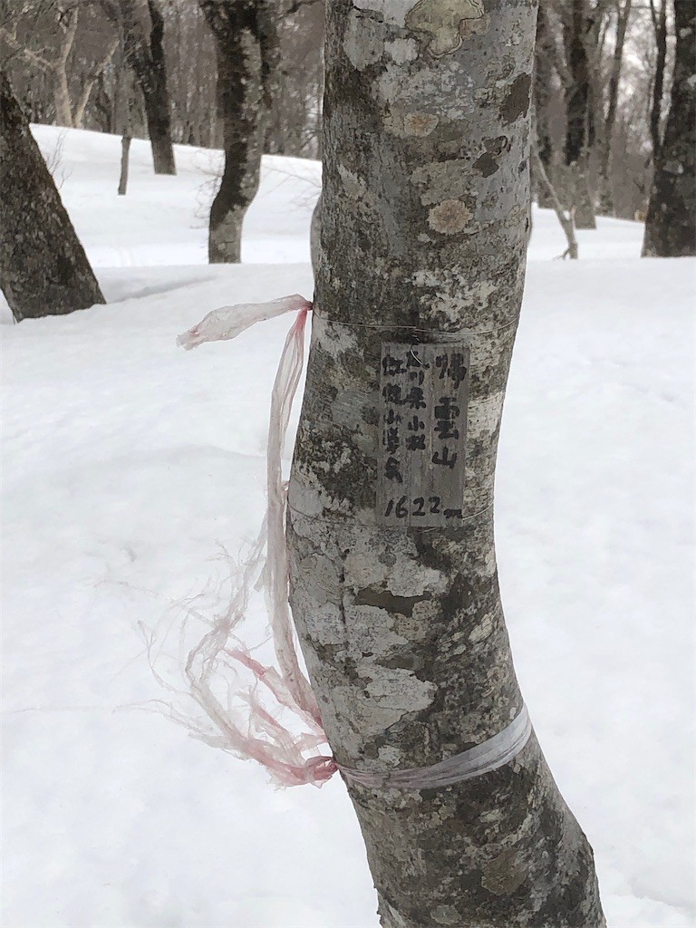 f:id:toyama-rouzan:20210320215325j:image f:id:toyama-rouzan:20210320215325j:image