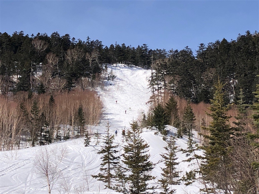 f:id:toyama-rouzan:20210324181204j:image f:id:toyama-rouzan:20210324181204j:image