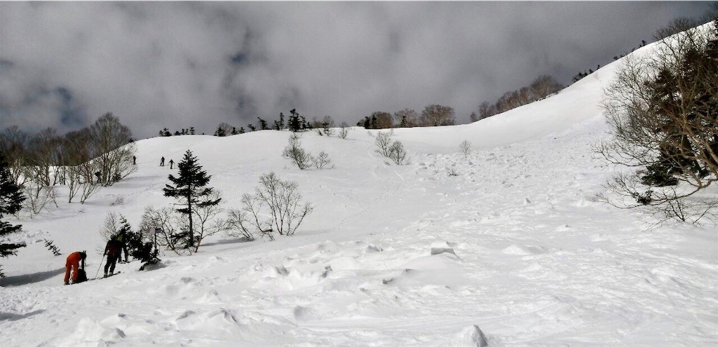 f:id:toyama-rouzan:20210324182551j:image f:id:toyama-rouzan:20210324182551j:image