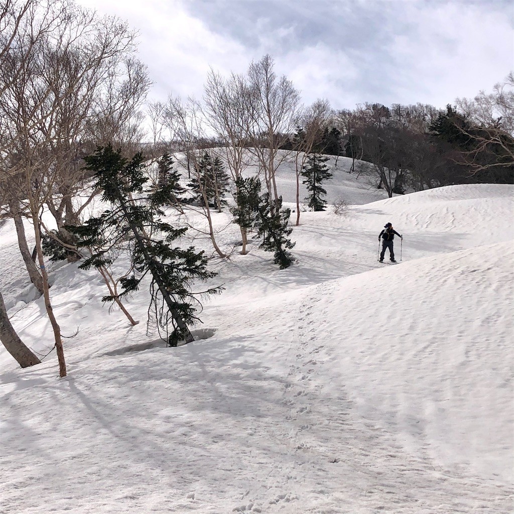 f:id:toyama-rouzan:20210428022042j:image f:id:toyama-rouzan:20210428022042j:image