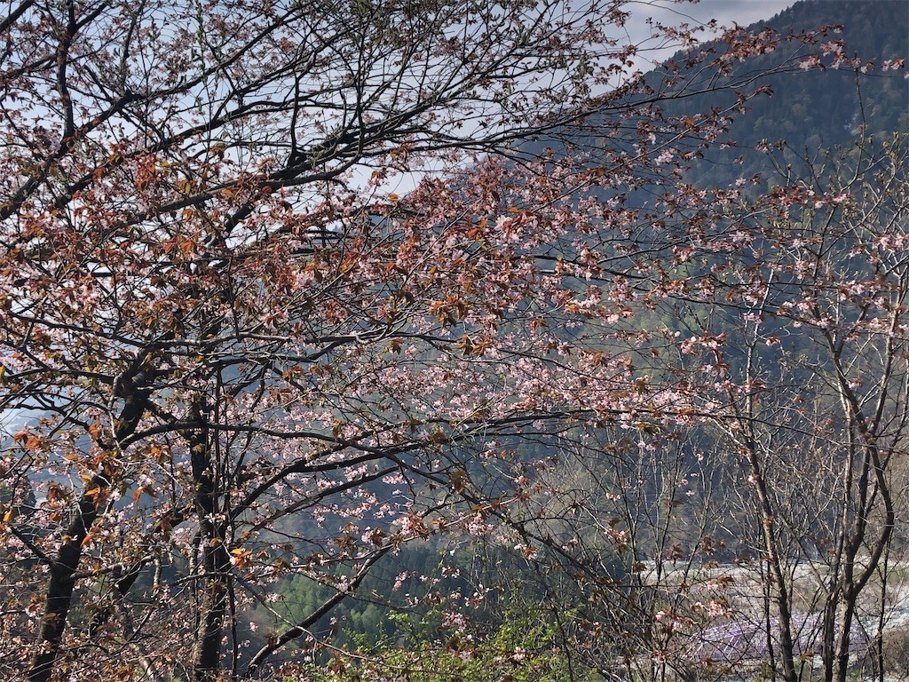 f:id:toyama-rouzan:20210428035131j:image f:id:toyama-rouzan:20210428035131j:image