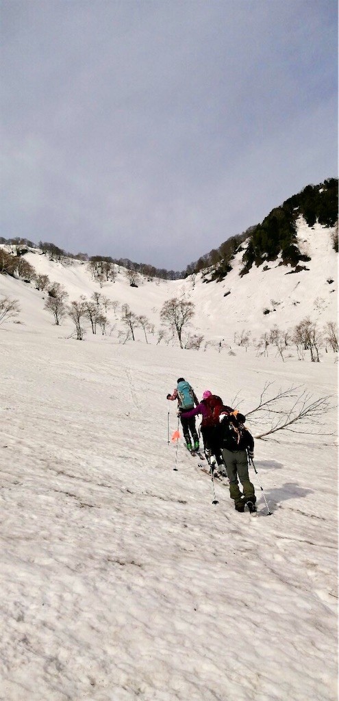 f:id:toyama-rouzan:20210428202600j:image f:id:toyama-rouzan:20210428202600j:image