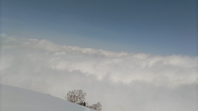 f:id:toyama-rouzan:20220313194859j:image f:id:toyama-rouzan:20220313194859j:image