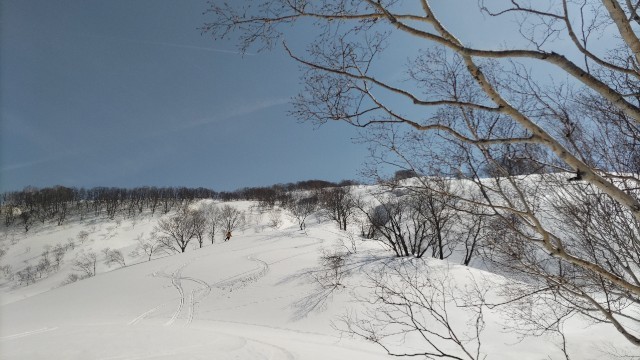 f:id:toyama-rouzan:20220313195102j:image f:id:toyama-rouzan:20220313195102j:image