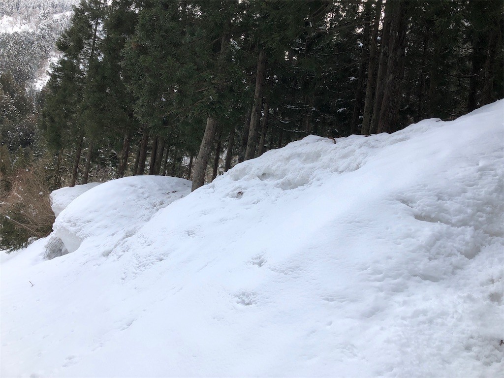 f:id:toyama-rouzan:20220323081831j:image f:id:toyama-rouzan:20220323081831j:image