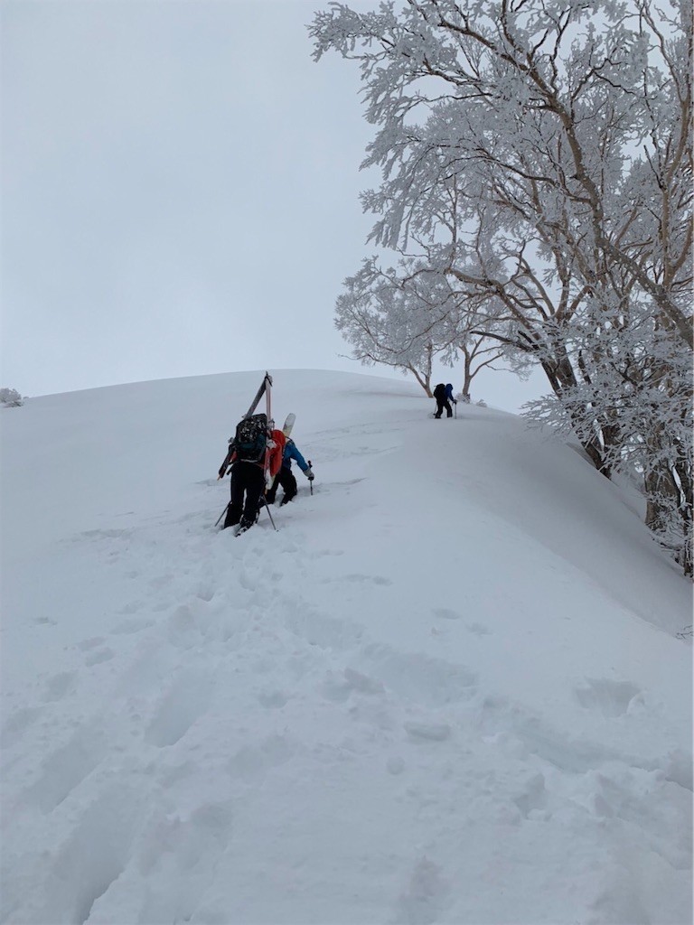 f:id:toyama-rouzan:20220323081839j:image f:id:toyama-rouzan:20220323081839j:image