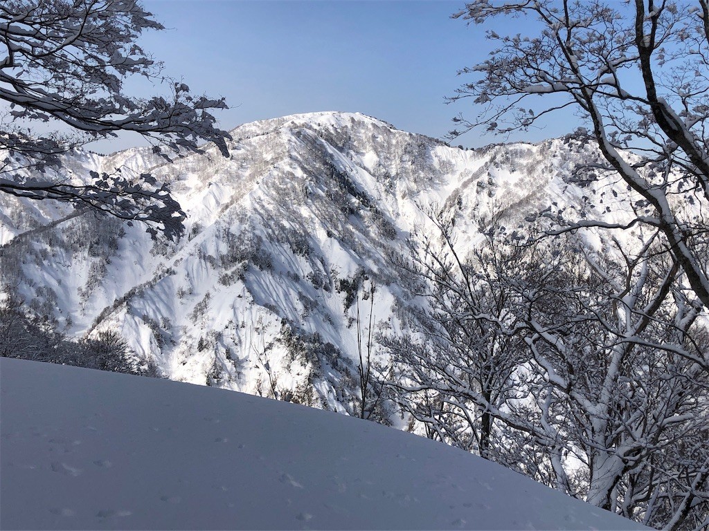 f:id:toyama-rouzan:20220323101105j:image f:id:toyama-rouzan:20220323101105j:image