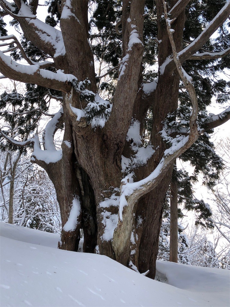 f:id:toyama-rouzan:20220323101125j:image f:id:toyama-rouzan:20220323101125j:image
