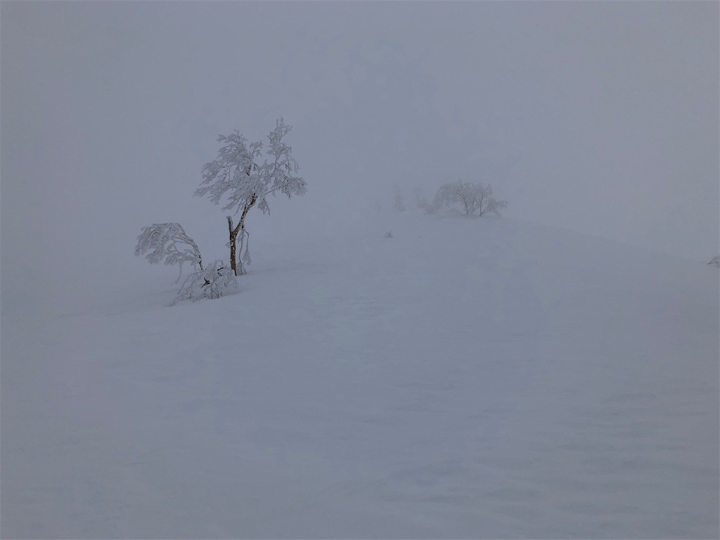 f:id:toyama-rouzan:20220323101127j:image f:id:toyama-rouzan:20220323101127j:image