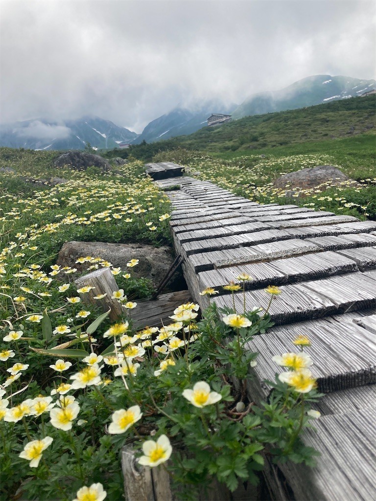f:id:toyama-rouzan:20220803224404j:image f:id:toyama-rouzan:20220803224404j:image