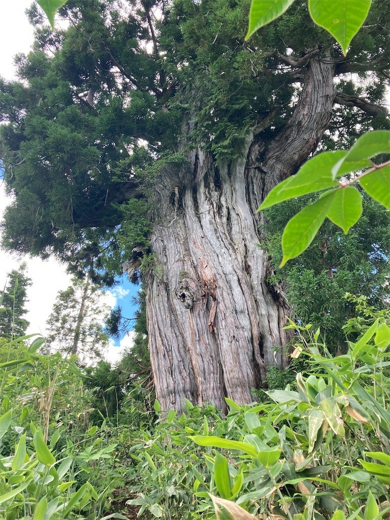 f:id:toyama-rouzan:20220803224859j:image f:id:toyama-rouzan:20220803224859j:image