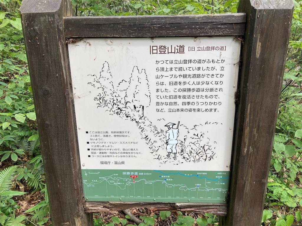 f:id:toyama-rouzan:20220803225352j:image f:id:toyama-rouzan:20220803225352j:image