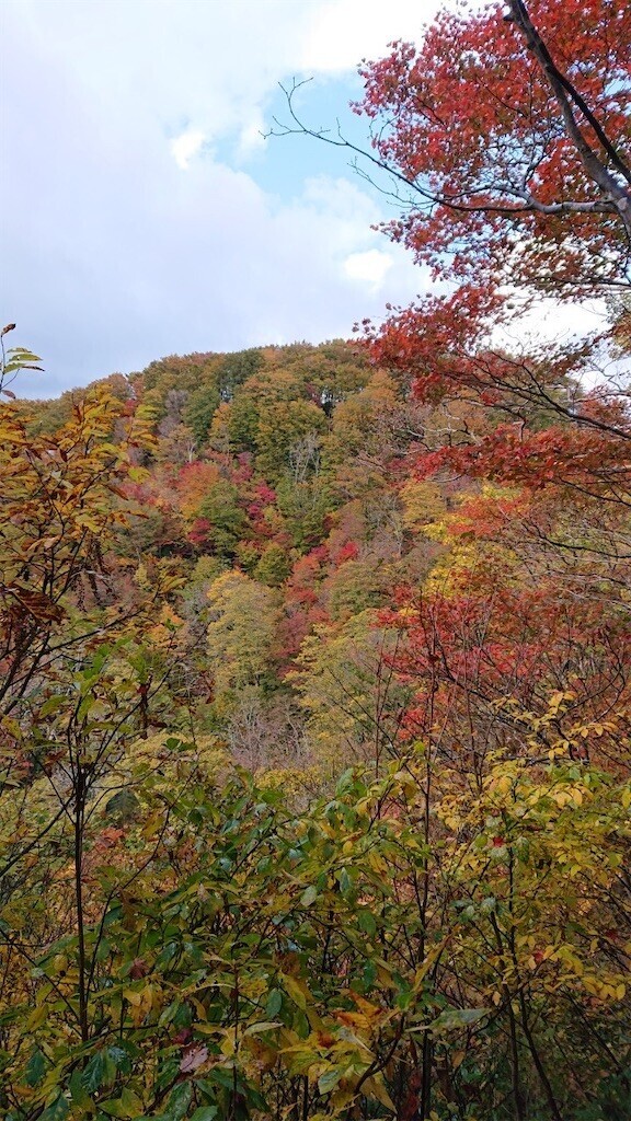 f:id:toyama-rouzan:20231030192742j:image