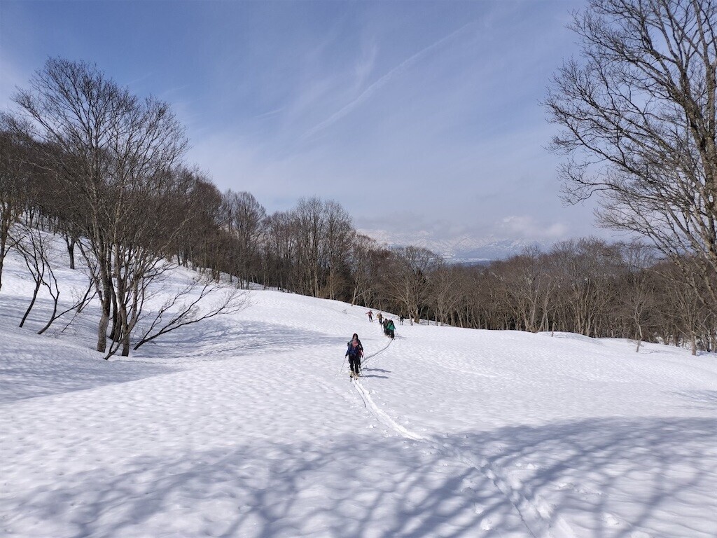 f:id:toyama-rouzan:20240325084520j:image