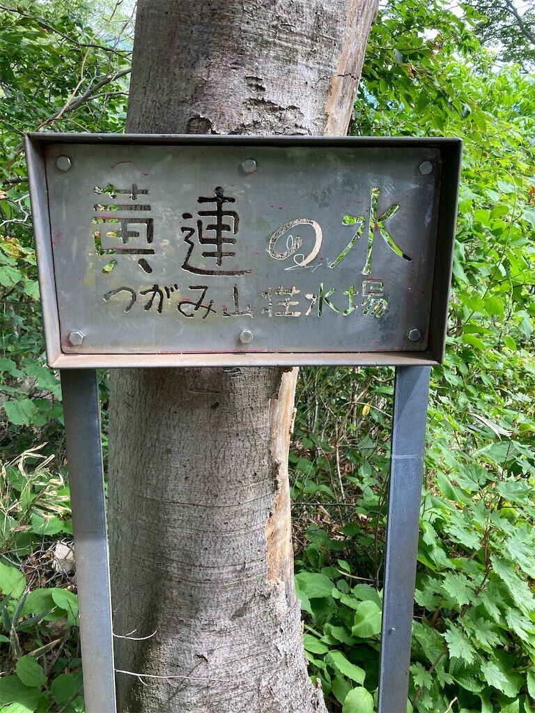 f:id:toyama-rouzan:20240624174311j:image