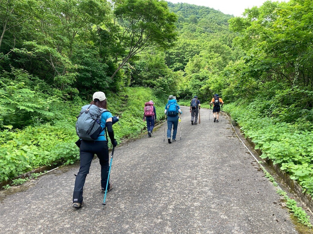 f:id:toyama-rouzan:20240624180336j:image