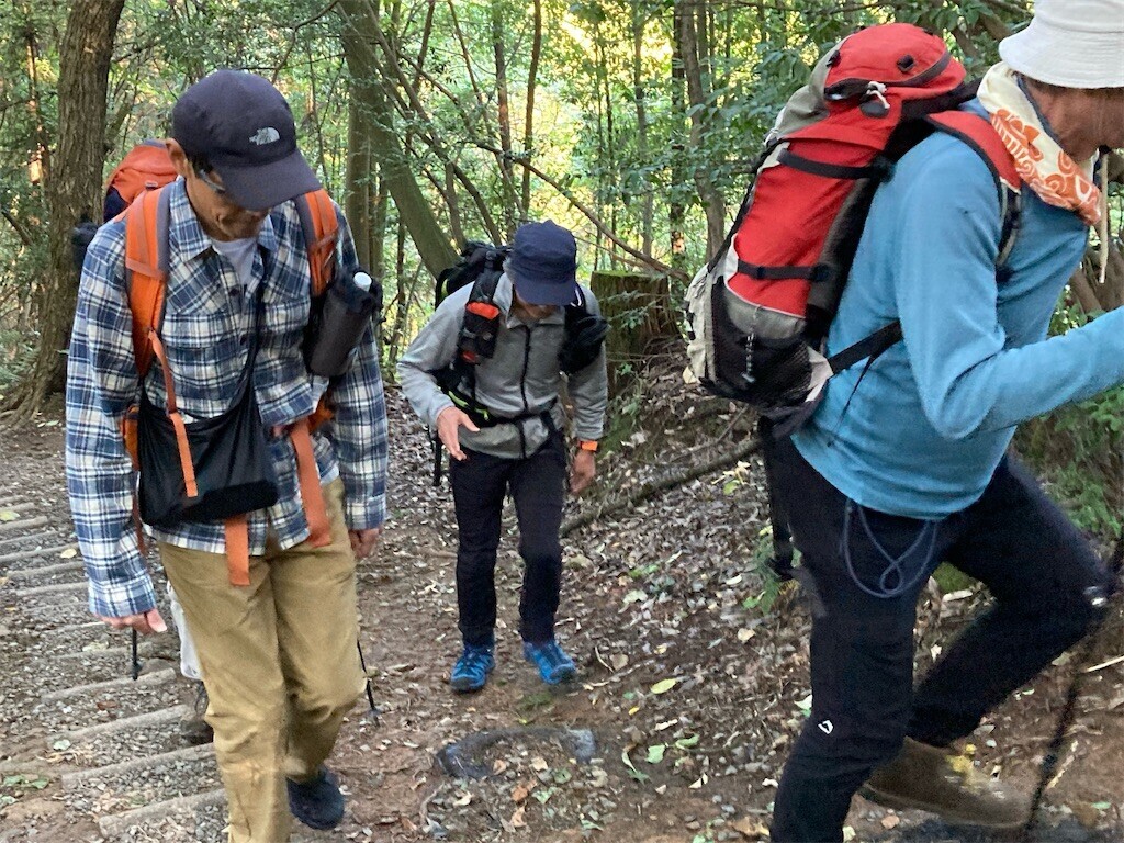 f:id:toyama-rouzan:20241105221038j:image