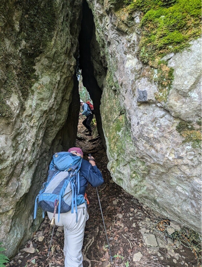 f:id:toyama-rouzan:20241105224444j:image