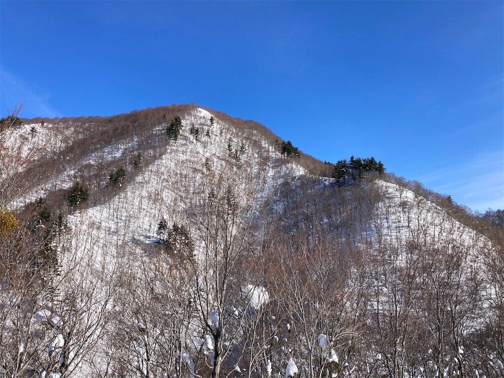 f:id:toyama-rouzan:20250121223508j:image