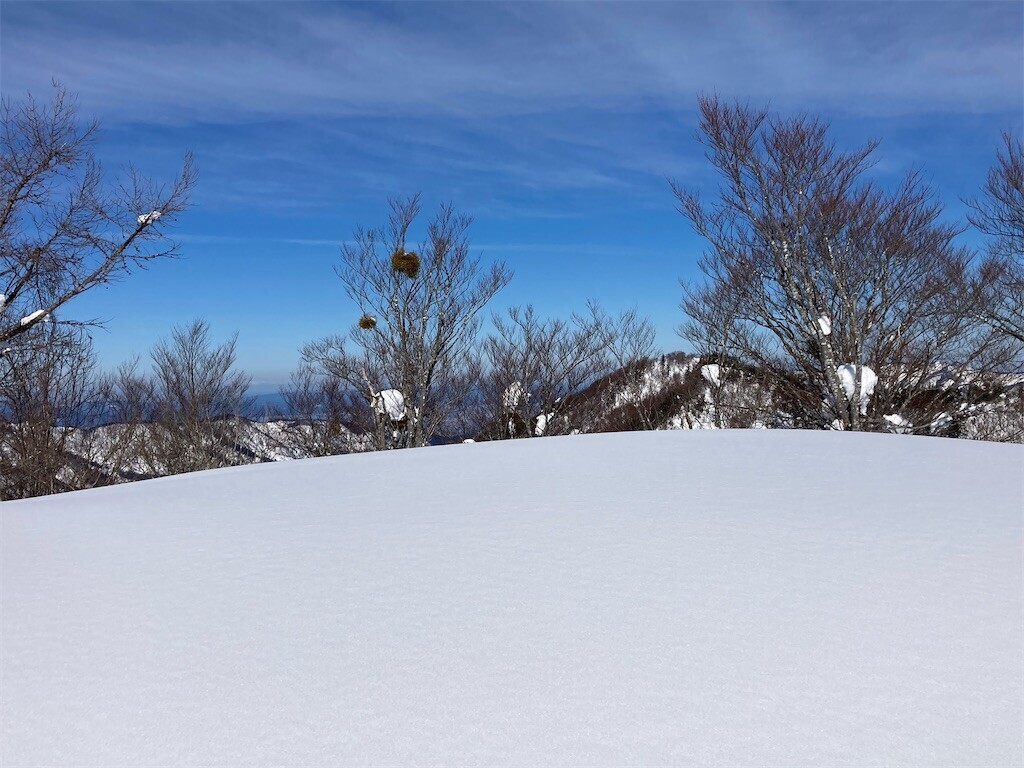 f:id:toyama-rouzan:20250121223511j:image