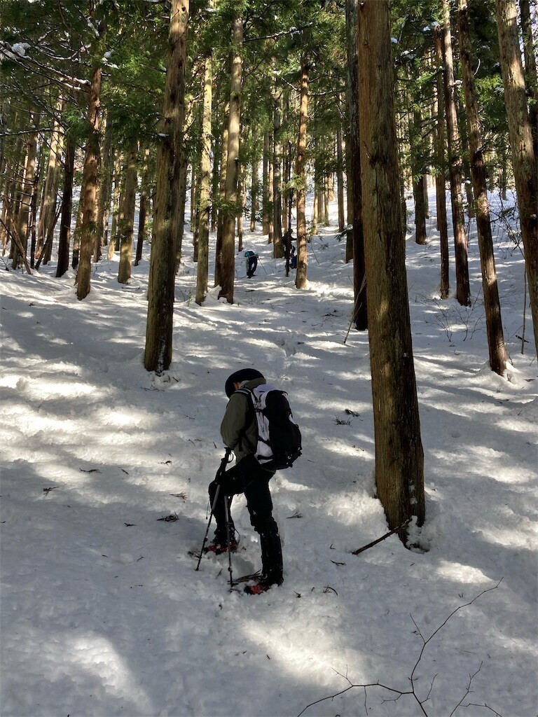 f:id:toyama-rouzan:20250121223522j:image