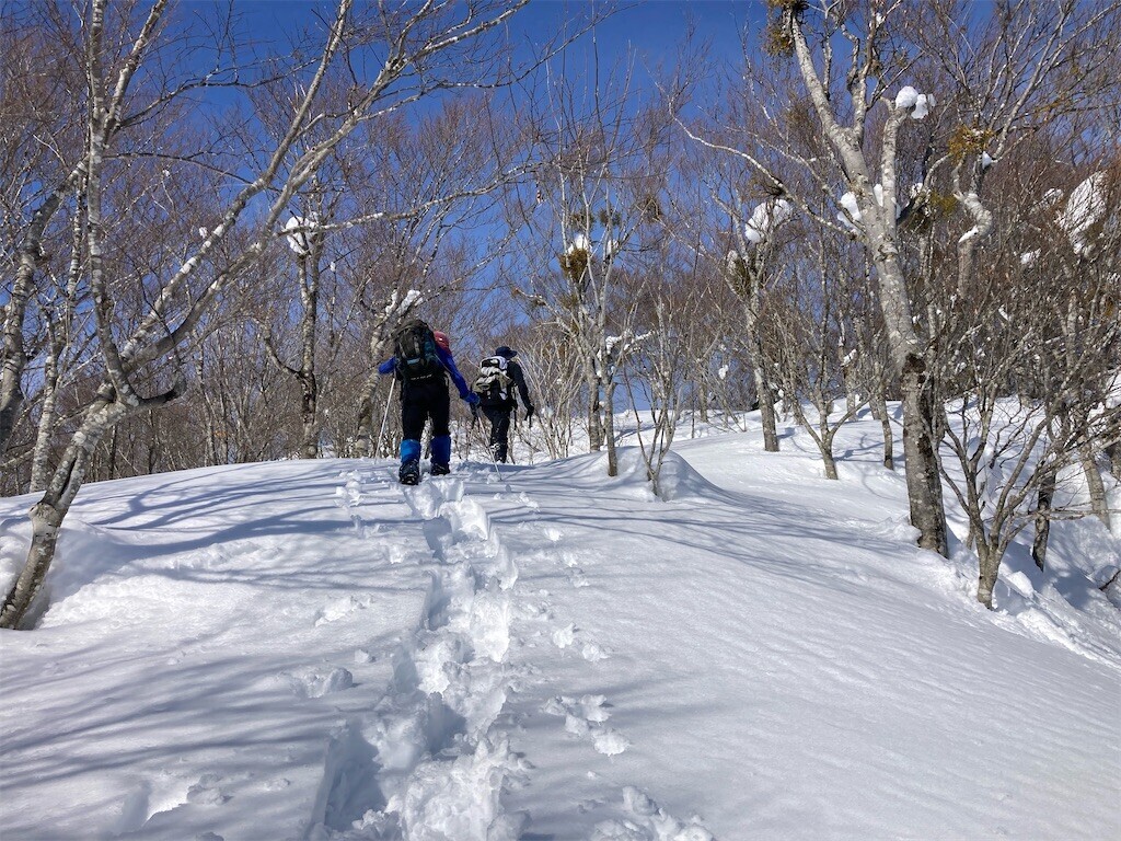 f:id:toyama-rouzan:20250121223547j:image