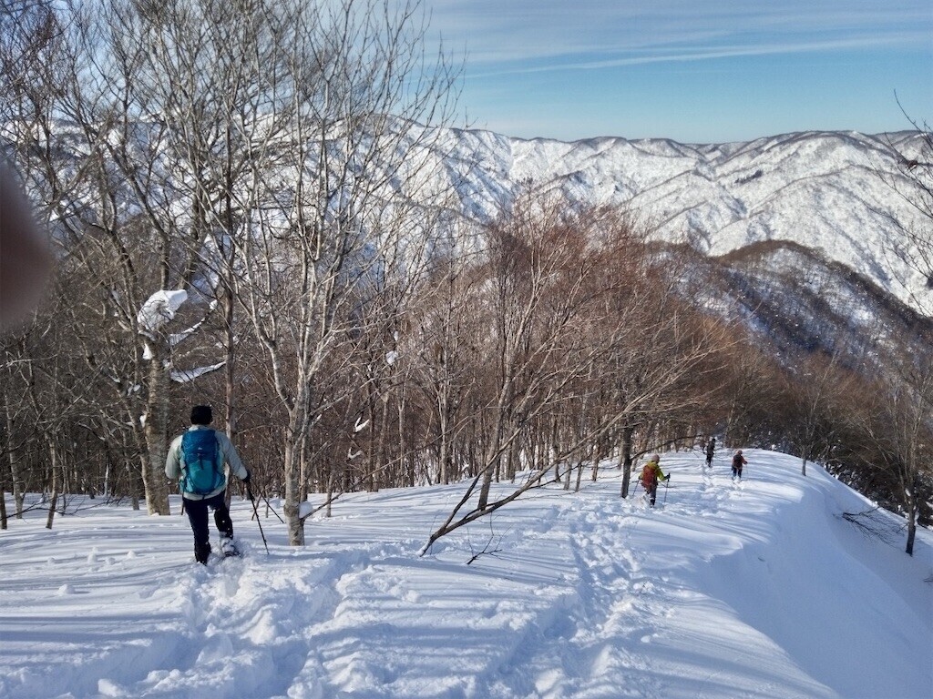 f:id:toyama-rouzan:20250121225431j:image
